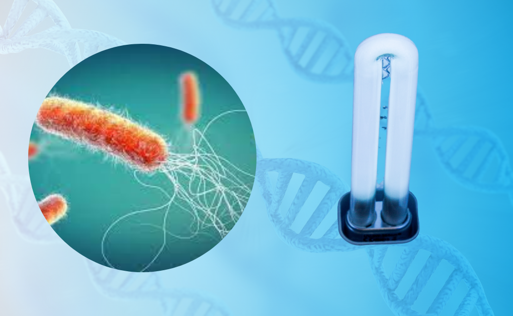 Preventing Pseudomonas Contamination Through UV Disinfection