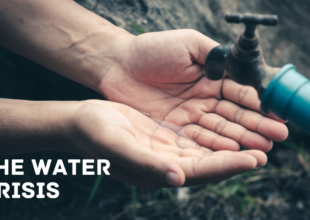 Water Crisis in India: Causes and Consequences